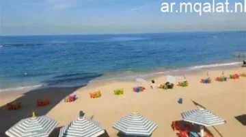 تحذيرات الأرصاد.. تفاصيل موجة برد مرتقبة تؤثر على درجات الحرارة في المنطقة